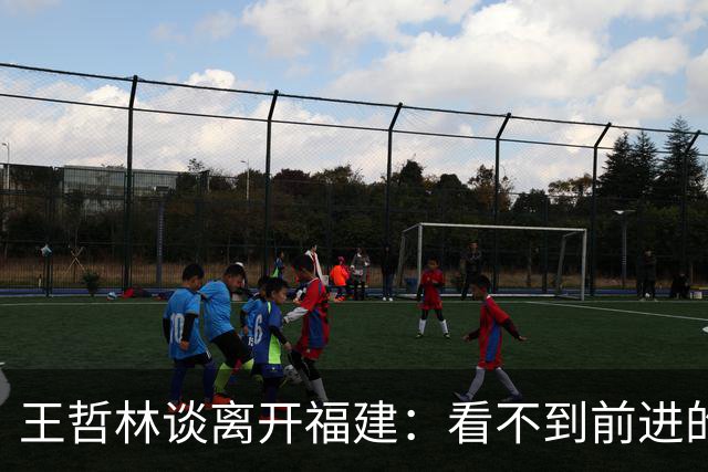 王哲林谈离开福建：看不到前进的希望 打了这么多年谁不想夺冠呢