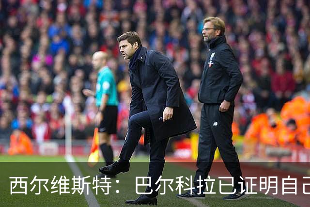 西尔维斯特：巴尔科拉已证明自己，去任何队伍都能胜任主力